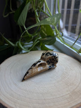 Load image into Gallery viewer, Picture Jasper Raven Skull