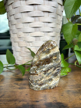 Load image into Gallery viewer, Ocean Jasper Freeform