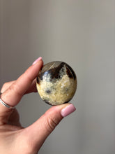 Load image into Gallery viewer, Septarian Palmstone