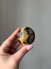 Load image into Gallery viewer, Septarian Palmstone