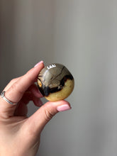 Load image into Gallery viewer, Septarian Palmstone