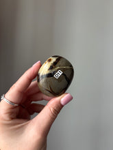 Load image into Gallery viewer, Septarian Palmstone