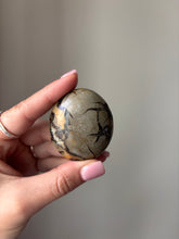 Load image into Gallery viewer, Septarian Palmstone