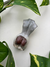 Load image into Gallery viewer, Picture Jasper Body