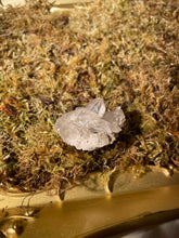 Load image into Gallery viewer, Smoky Quartz Cluster