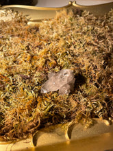 Load image into Gallery viewer, Smoky Quartz Cluster