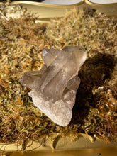 Load image into Gallery viewer, Smoky Quartz Cluster