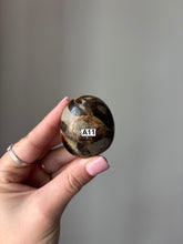 Load image into Gallery viewer, Septarian Palmstone
