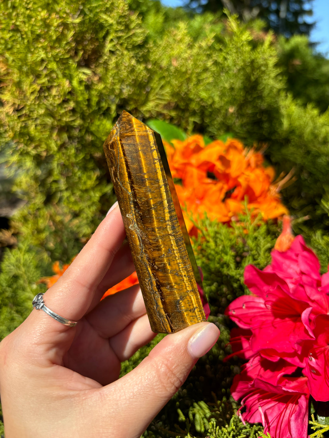 Tigers Eye Tower