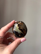 Load image into Gallery viewer, Septarian Palmstone
