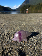 Load image into Gallery viewer, Fluorite Seashell
