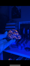 Load image into Gallery viewer, Yooperlite Skull
