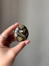 Load image into Gallery viewer, Septarian Palmstone
