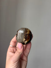 Load image into Gallery viewer, Septarian Palmstone
