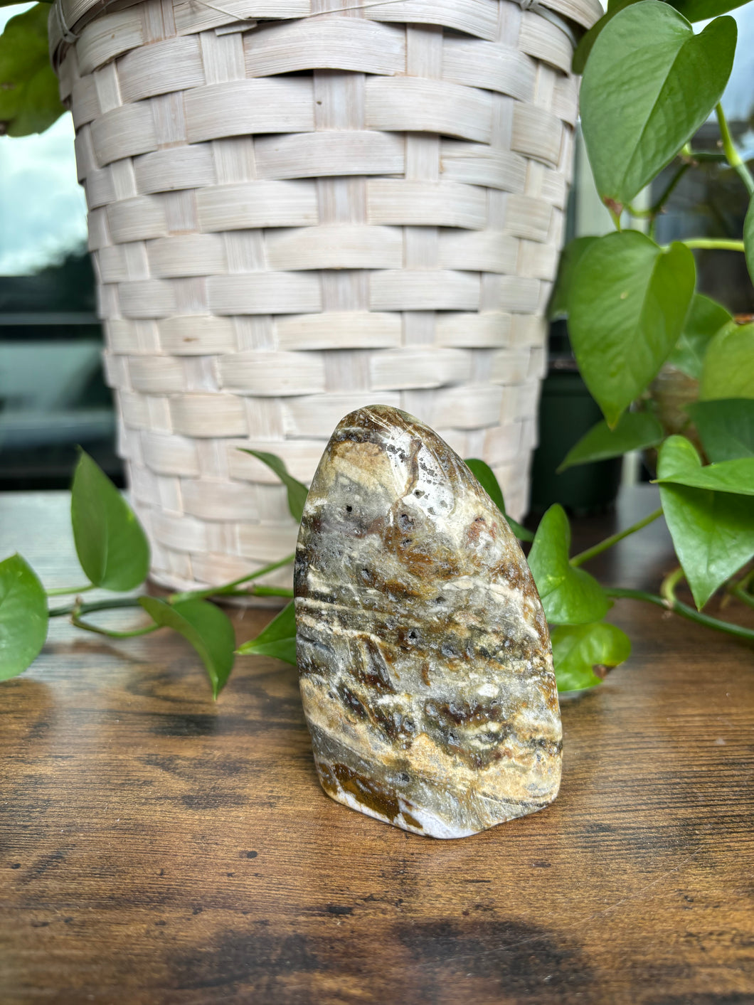 Ocean Jasper Freeform