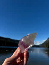 Load image into Gallery viewer, Fluorite Seashell
