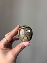 Load image into Gallery viewer, Septarian Palmstone
