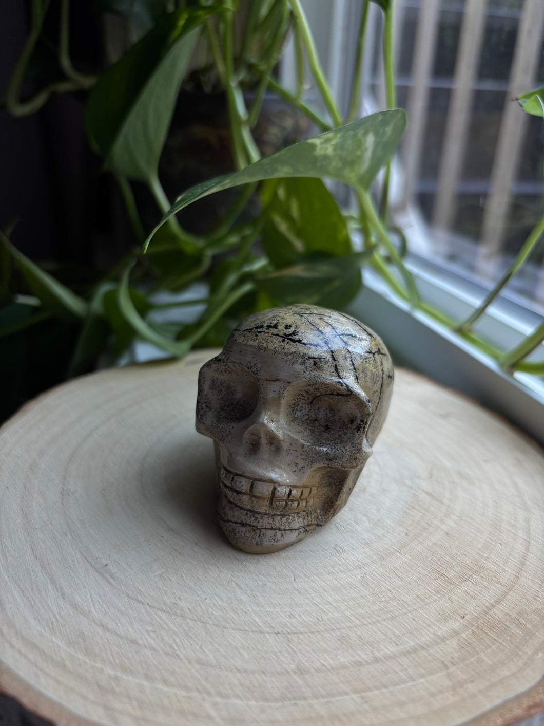 Picture Jasper Skull