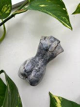 Load image into Gallery viewer, Picture Jasper Body
