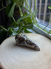 Load image into Gallery viewer, Picture Jasper Raven Skull
