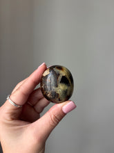 Load image into Gallery viewer, Septarian Palmstone
