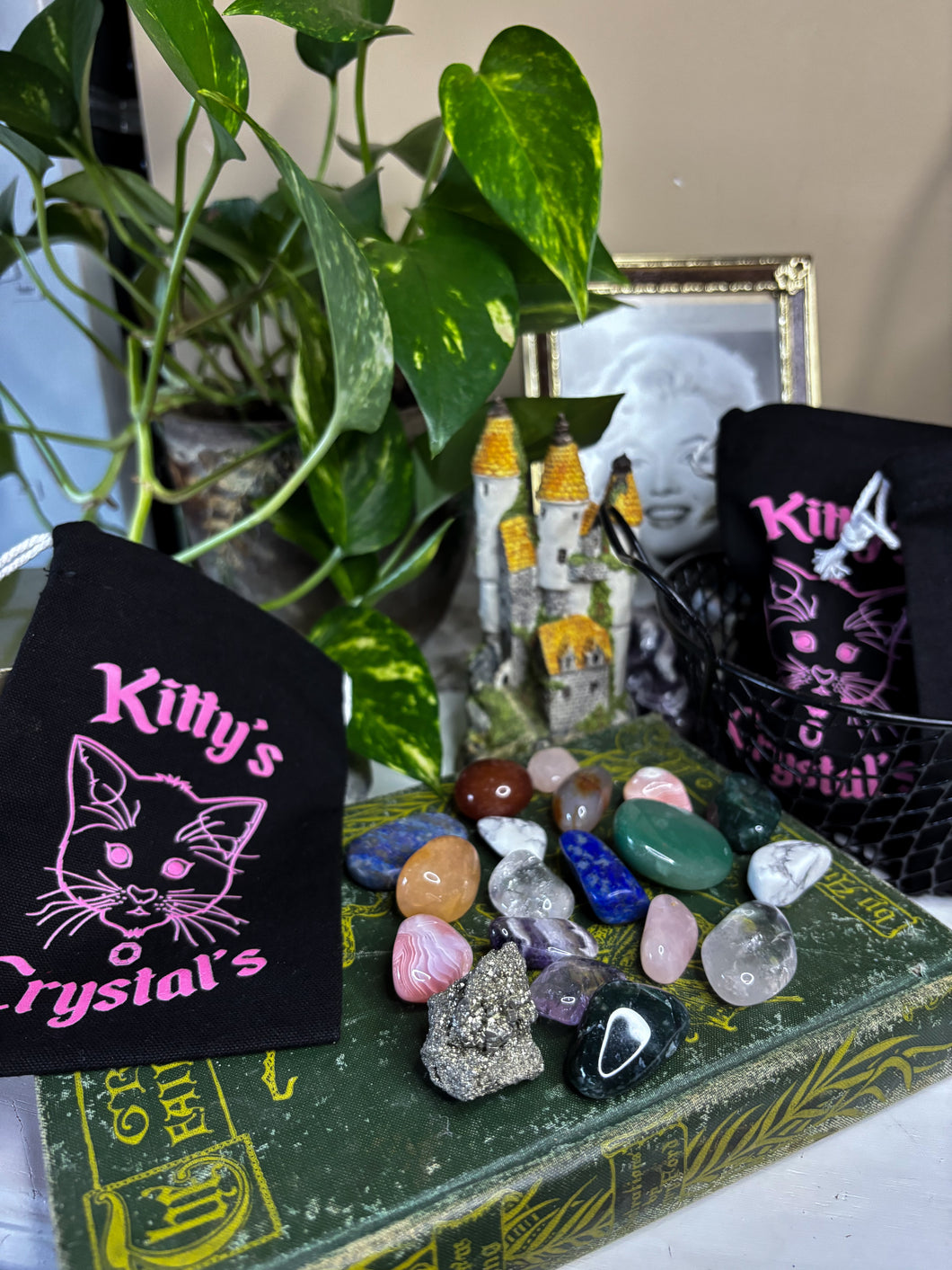 Kitty’s Crystals Tumble Starter Kit