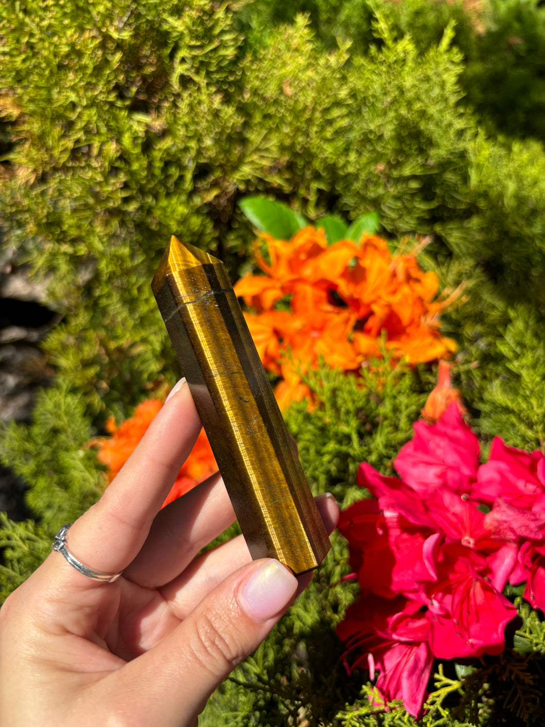 Tigers Eye Tower