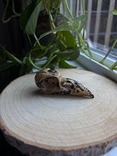 Load image into Gallery viewer, Picture Jasper Raven Skull
