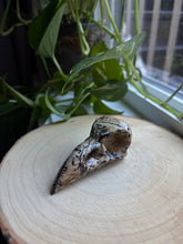 Load image into Gallery viewer, Picture Jasper Raven Skull
