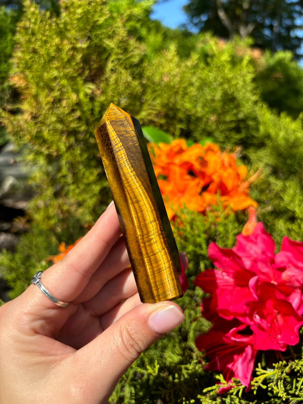 Tigers Eye Tower
