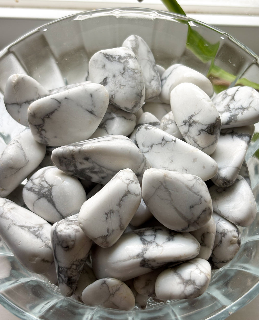 Howlite Tumbles