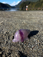 Load image into Gallery viewer, Fluorite Seashell
