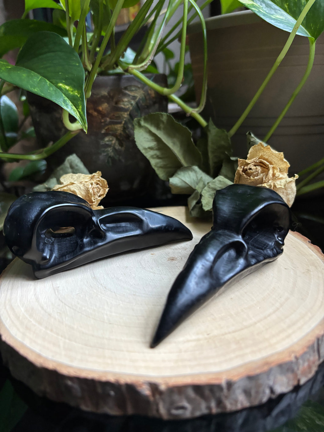 Black Obsidian Raven Skull