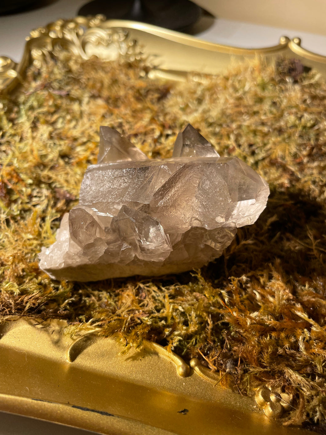 Smoky Quartz Cluster