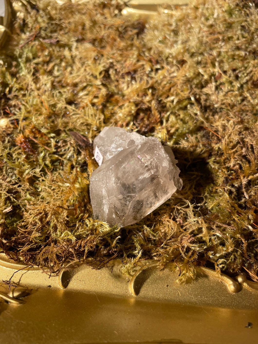 Smoky Quartz Cluster