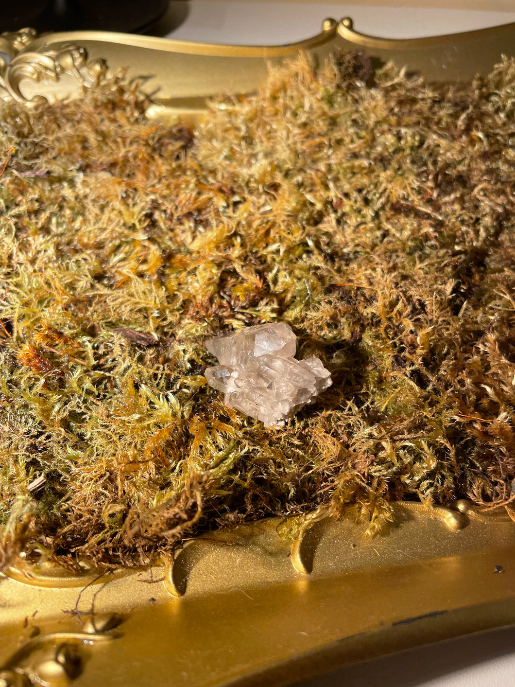 Smoky Quartz Cluster