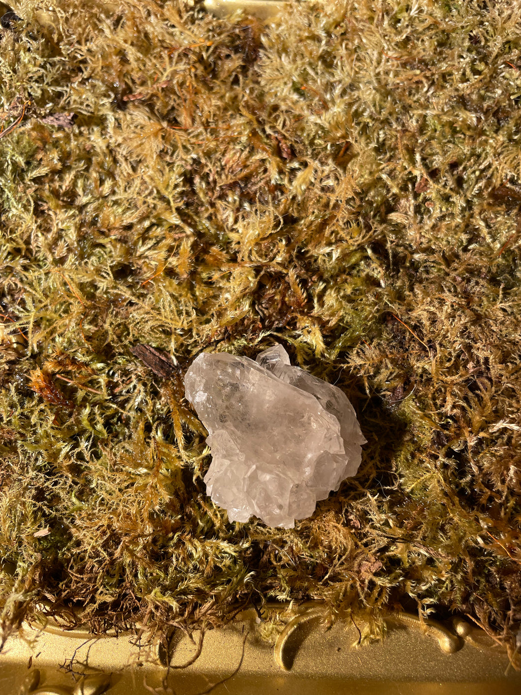 Smoky Quartz Cluster