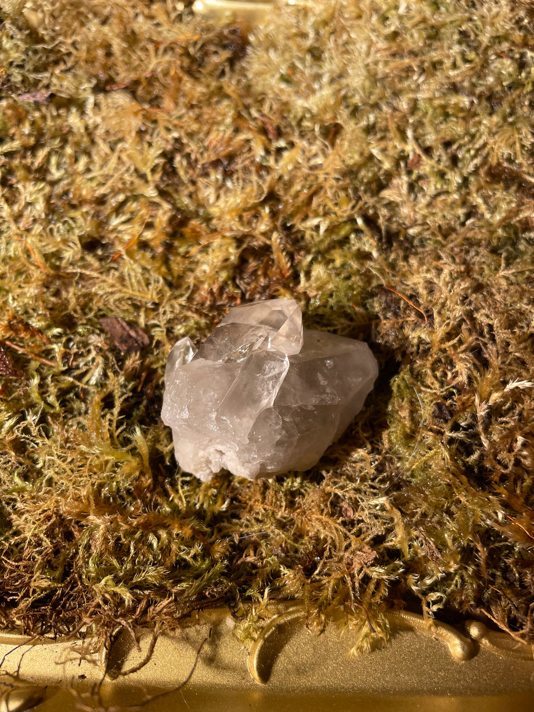 Smoky Quartz Cluster