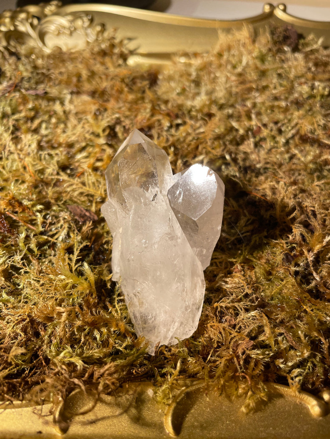 Smoky Quartz Cluster