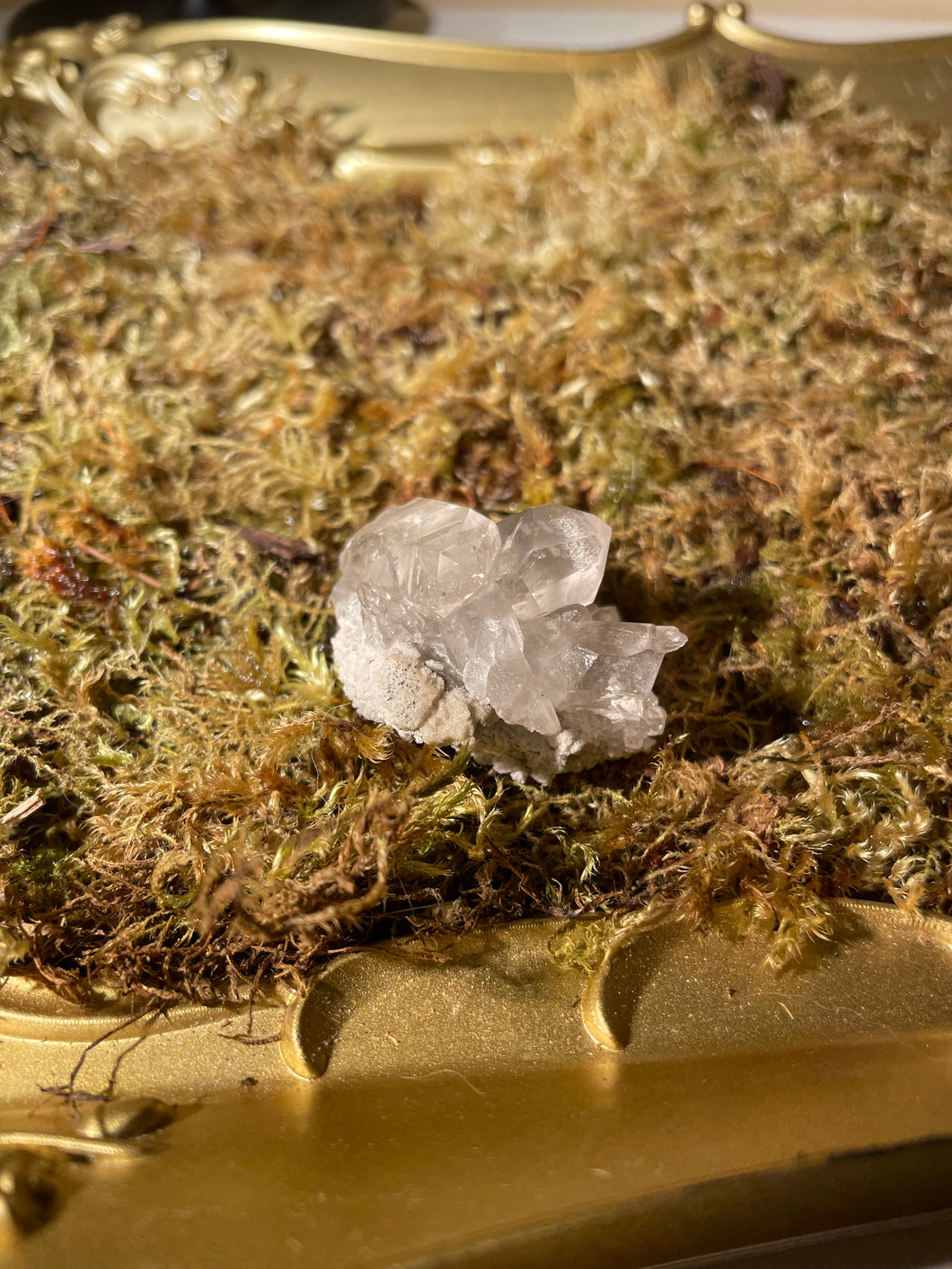 Smoky Quartz Cluster