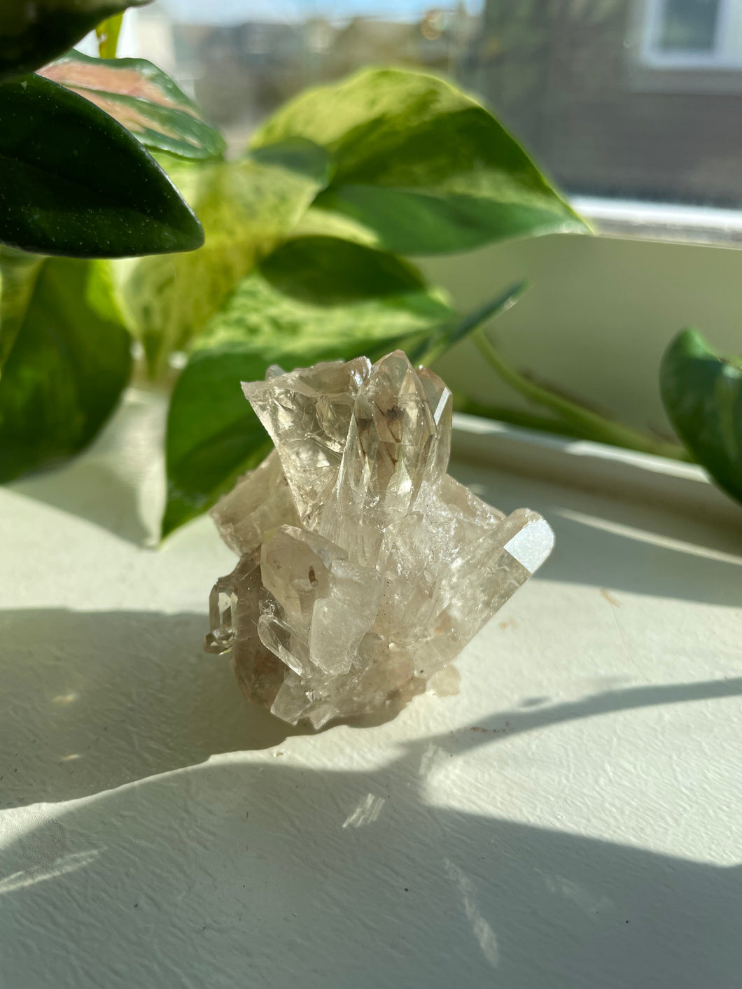 Smoky Quartz Cluster