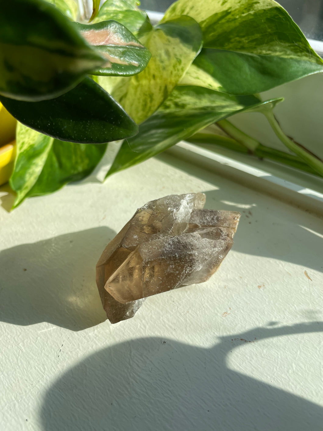 Smoky Quartz Cluster