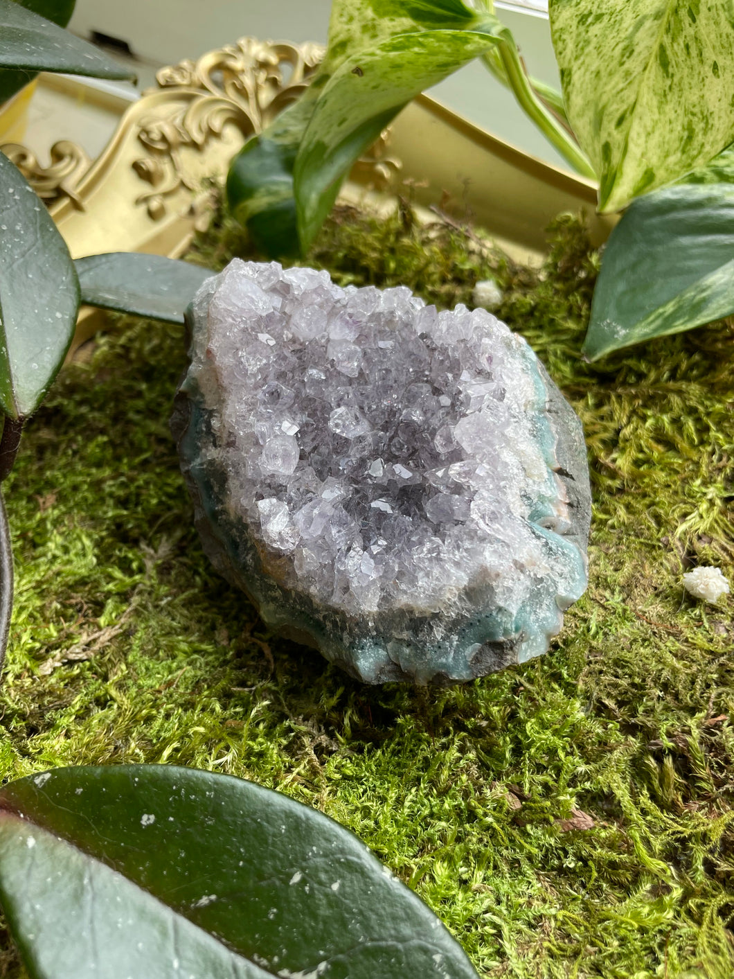 Amethyst Cluster