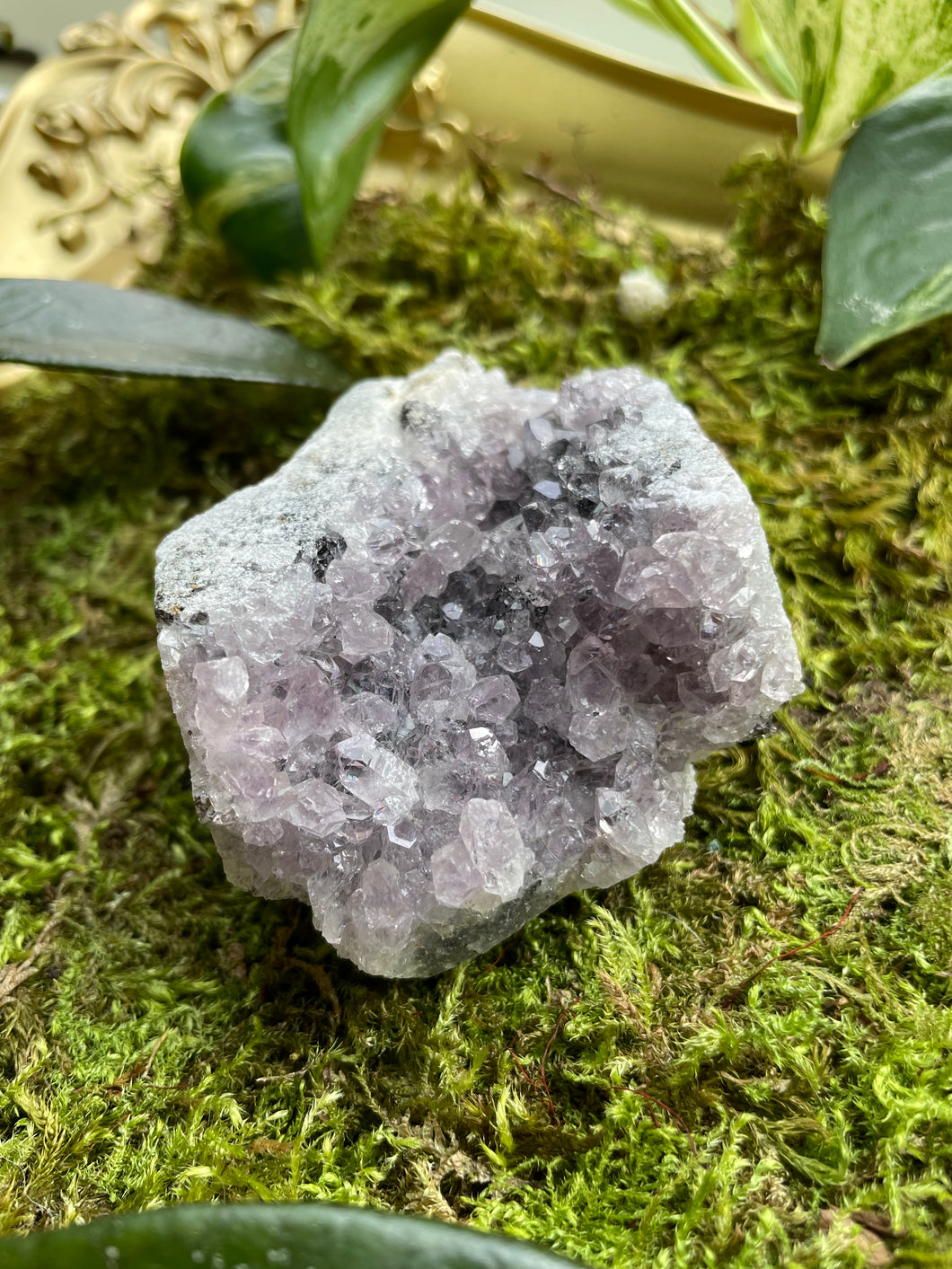 Amethyst Cluster