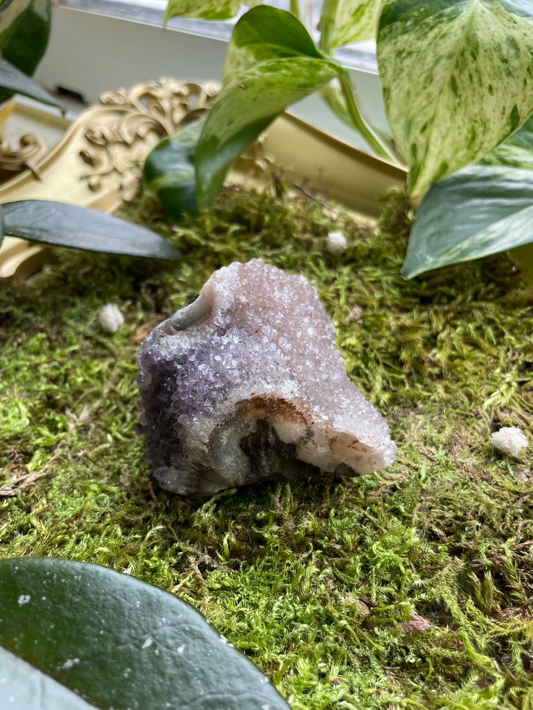 Amethyst Cluster