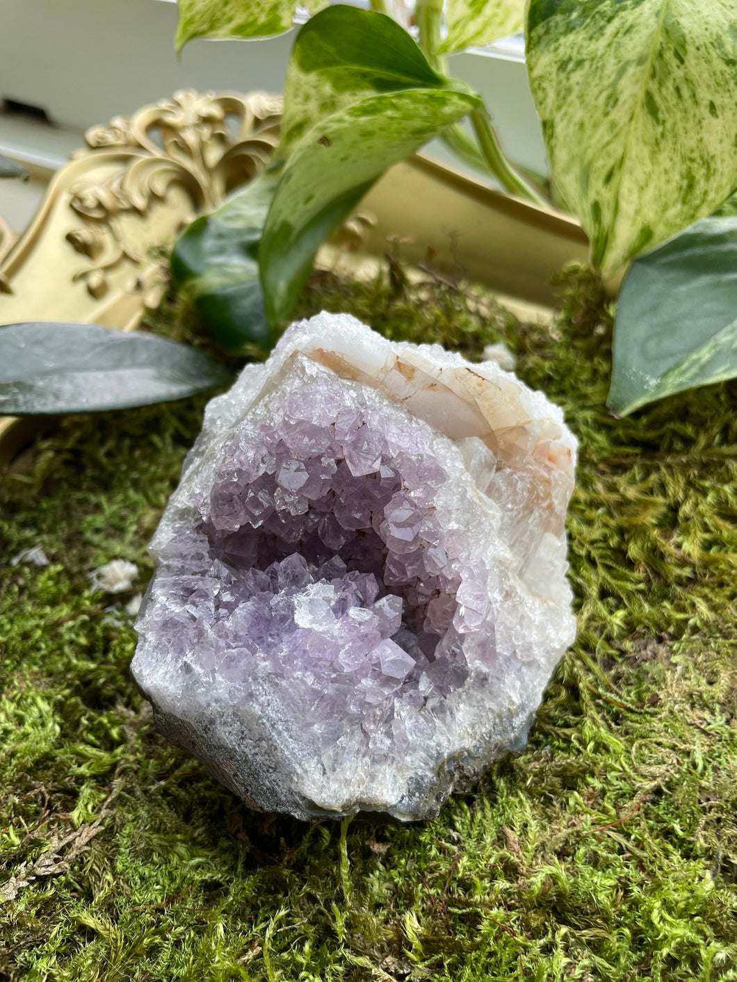 Amethyst Cluster