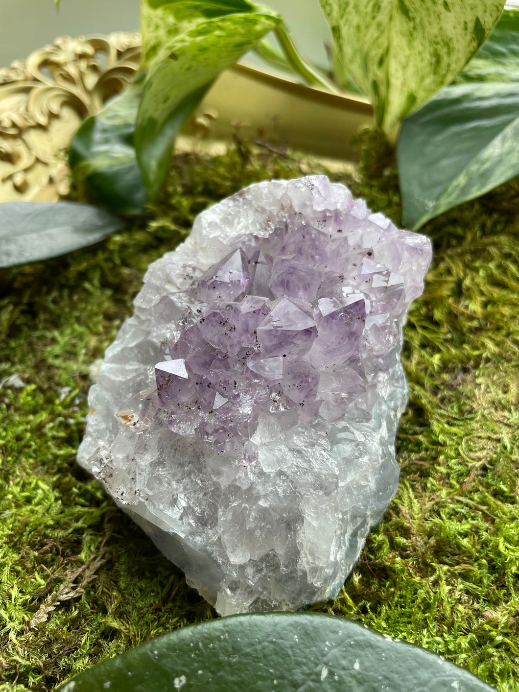 Amethyst Cluster