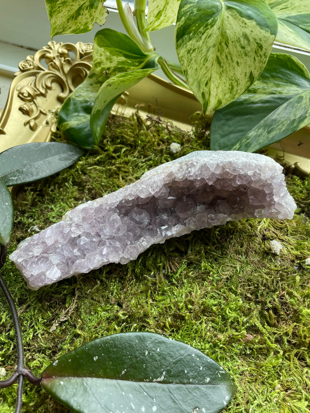 Amethyst Cluster