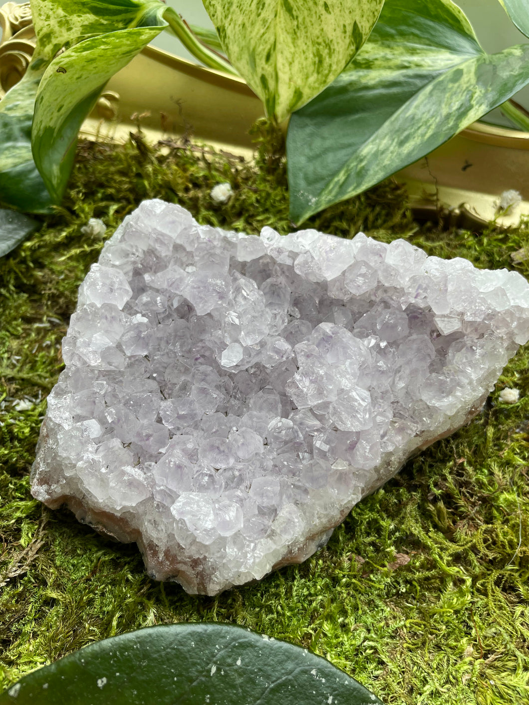 Amethyst Cluster