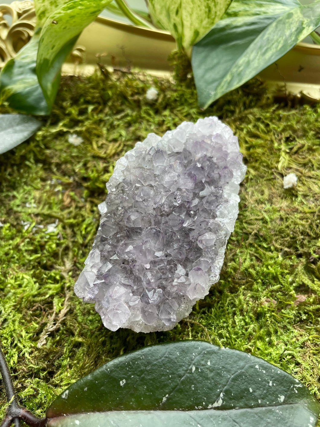 Amethyst Cluster